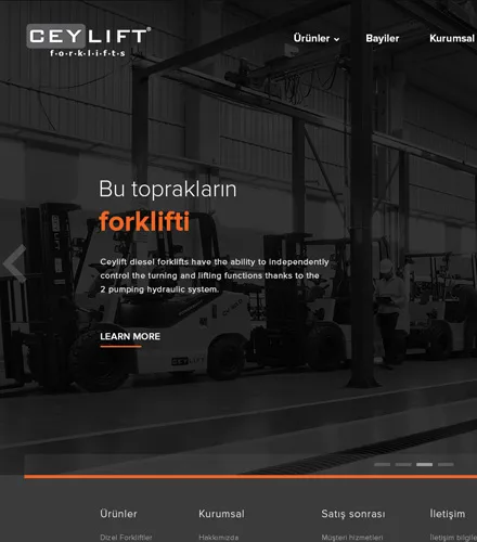 Ceylan Grup web tasarımı